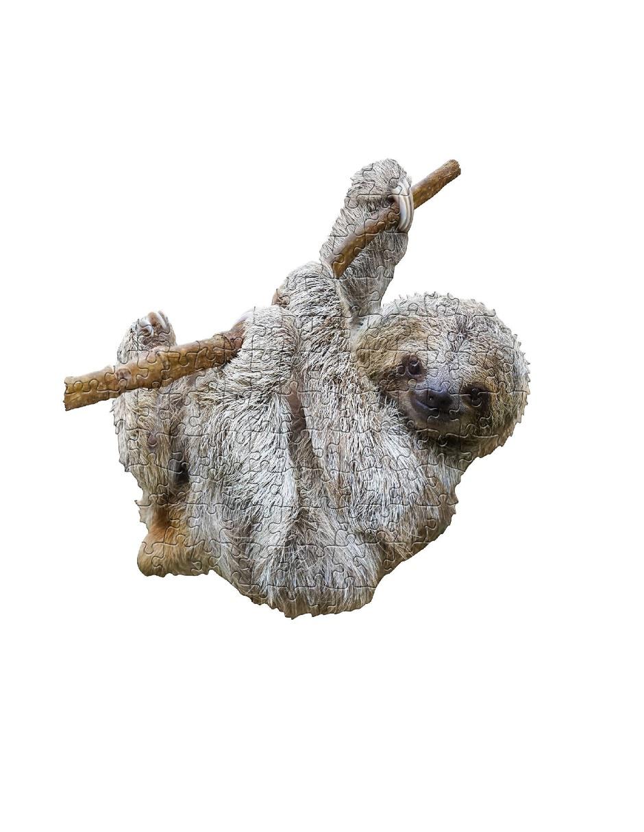 Rompecabezas Jr Animales Perezoso 100 piezas Madd Capp