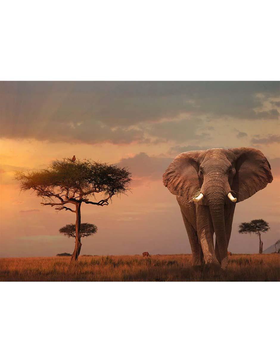 Rompecabezas Elefante de los Masai Mara 1000 piezas Ravensburger