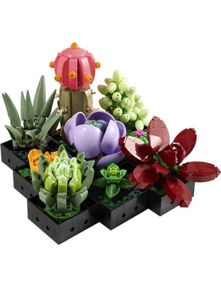 Icons Suculentas 10309 Botanicals