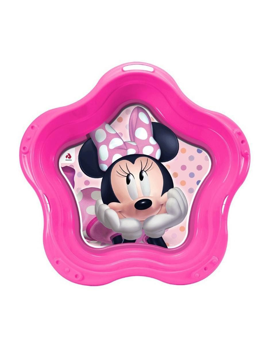 Alberca Injusa Minnie 1