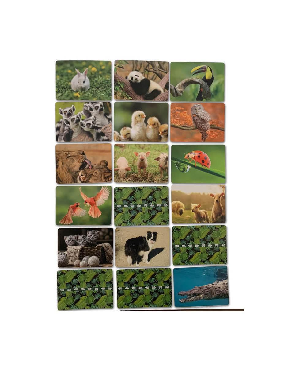 Juego de memoria animal 
 100 cartas 3