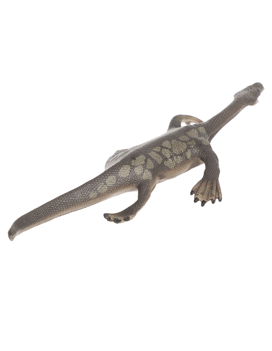 Figura de nothosaurus 3