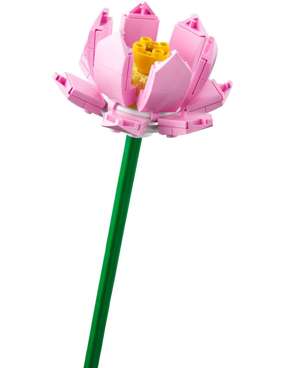 LEGO Flores De Loto 40647 Botanicals 5