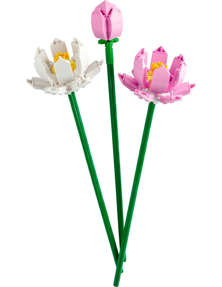 LEGO Flores De Loto 40647 Botanicals 8