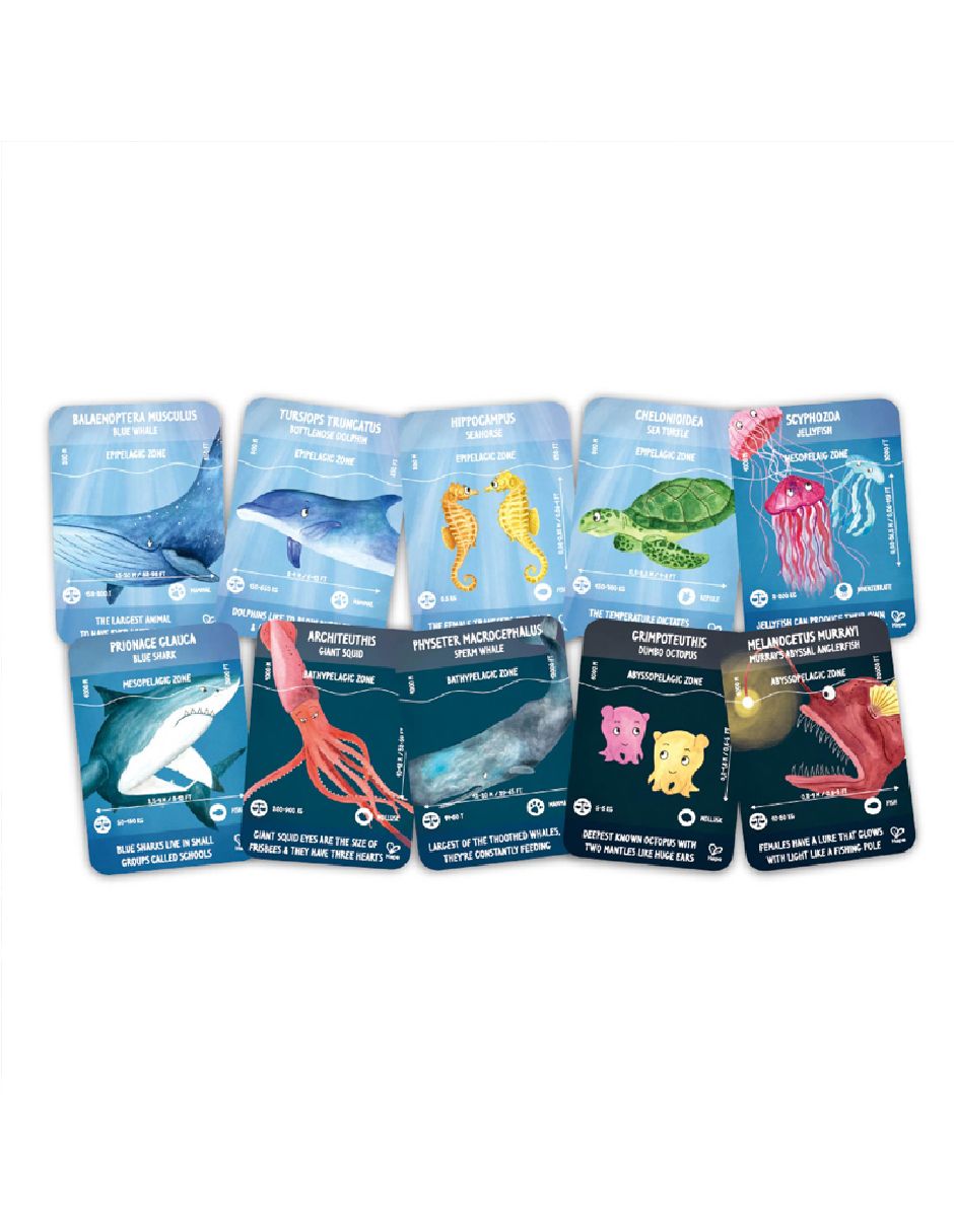 Rompecabezas ocean life 210 piezas 3