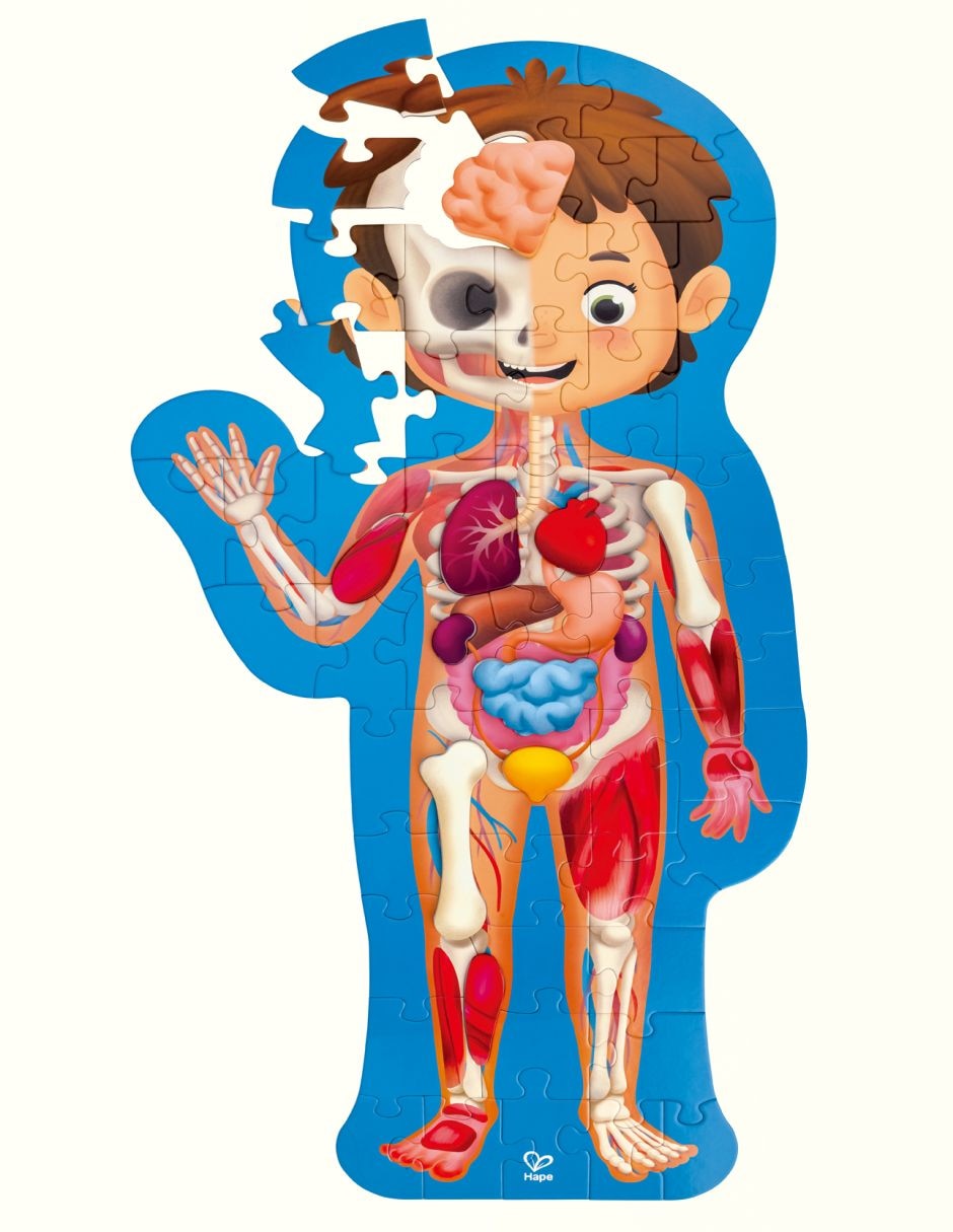 Rompecabezas cuerpo humano 61 piezas 7