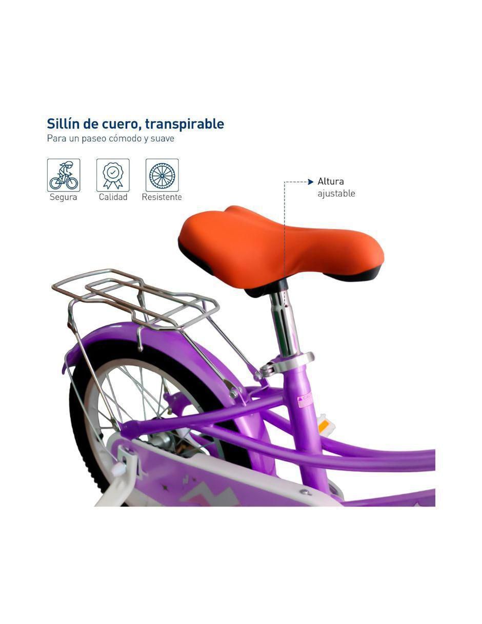 Bicicleta infantil rodada 16 5