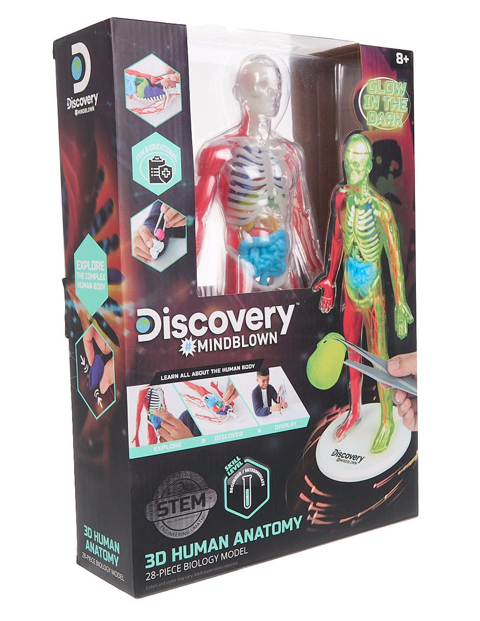 3D Human Anatomy 3