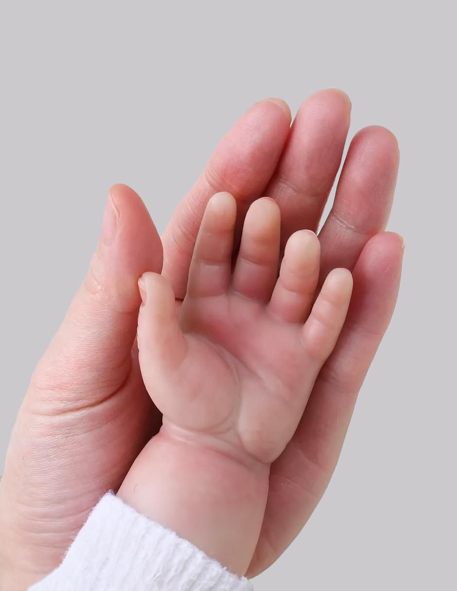 Bebé 1.2.3 baby méxico
