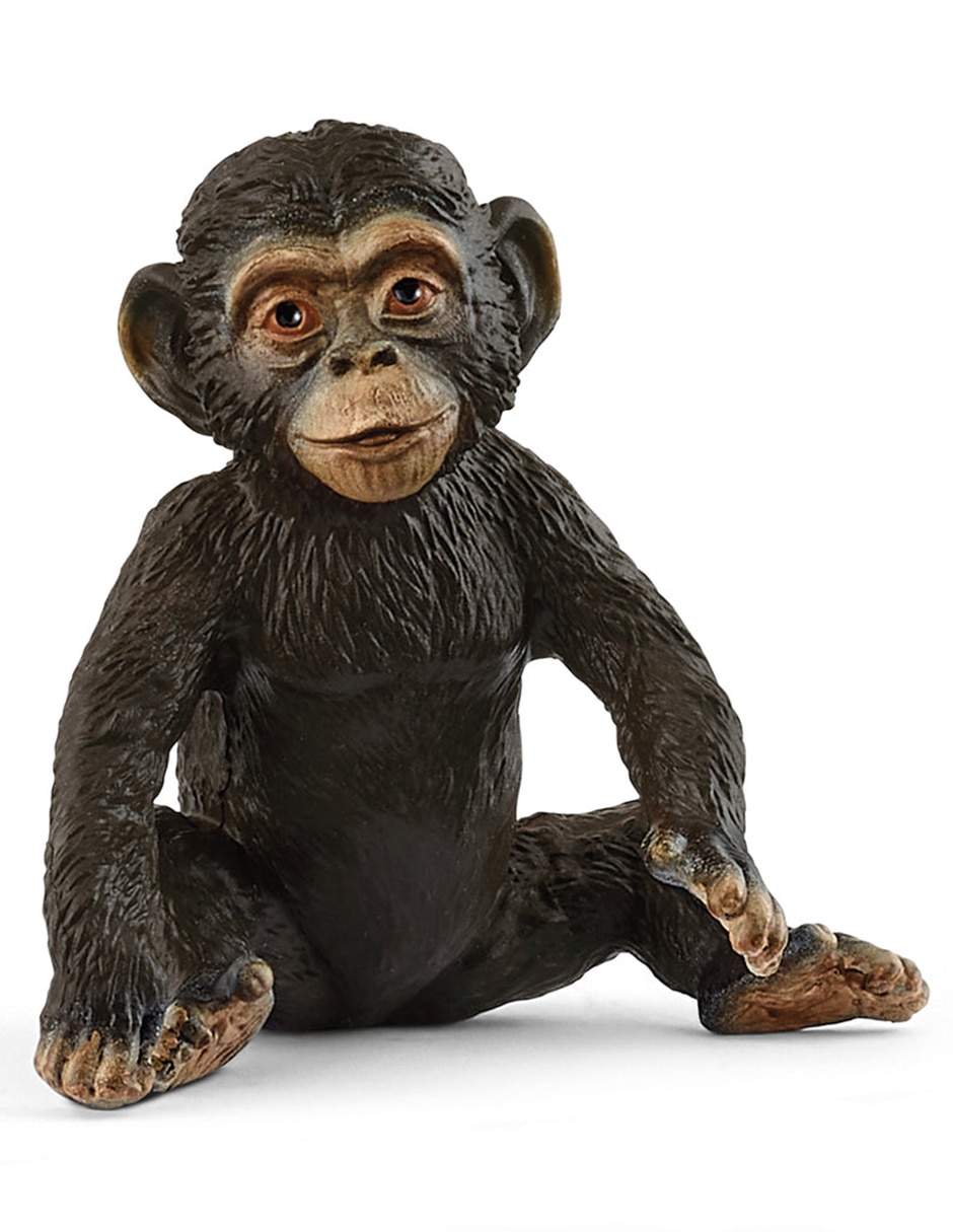 Figura de mono