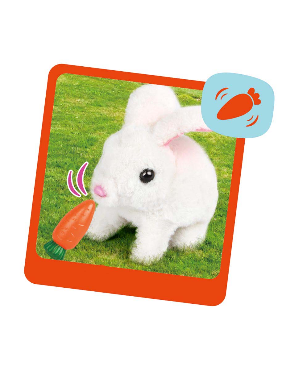 Kit de juguete cuidado de mascota Plush Pet 2