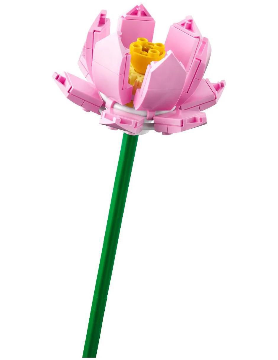 Set construcción no tiene flores botánicas flores armables no aplica 5