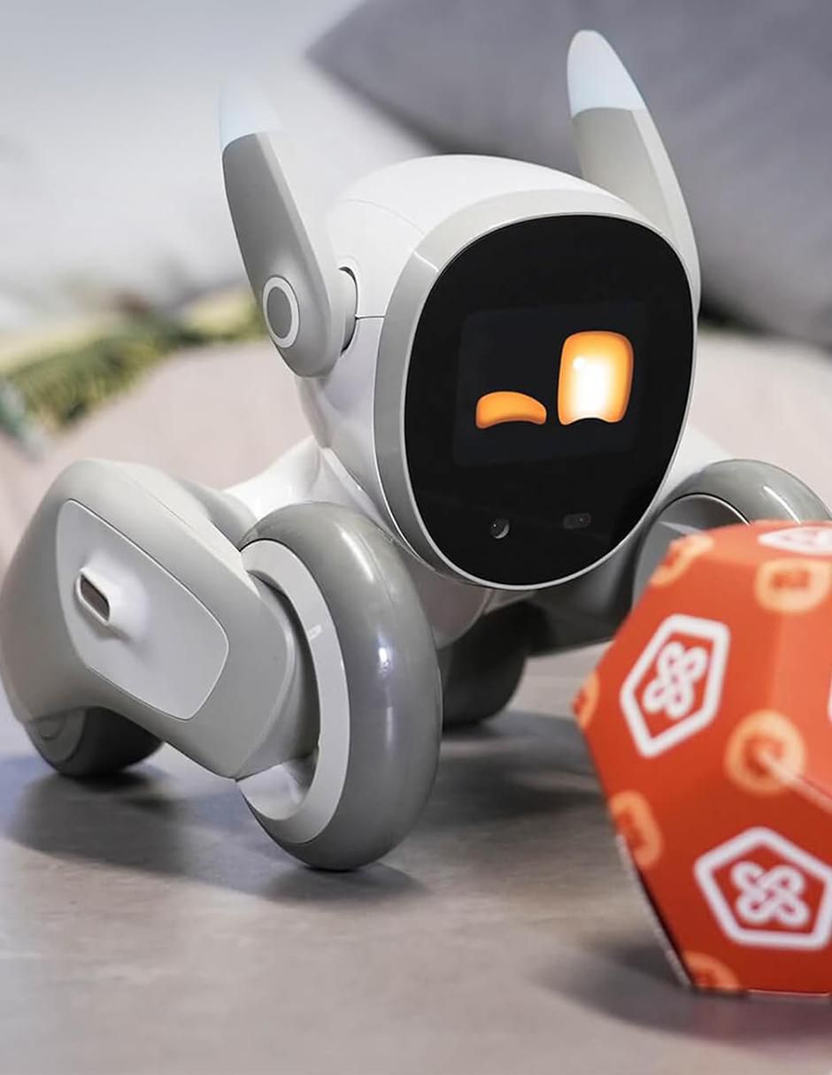 Robot