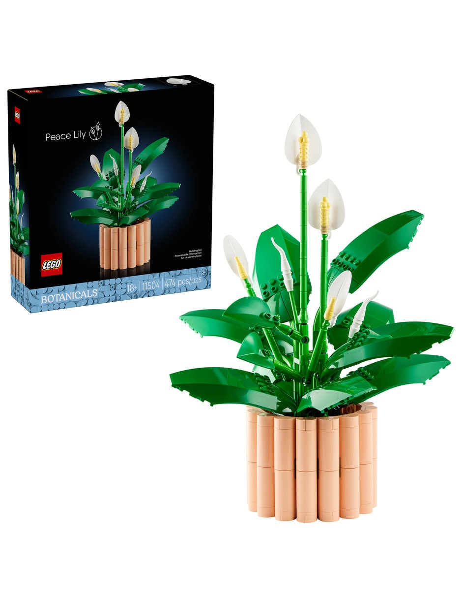 LEGO Set De Lego Botanicals Botanicals 11504 11504 11504 LEGO Set De Lego Botanicals Botanicals 11504 11504 11504