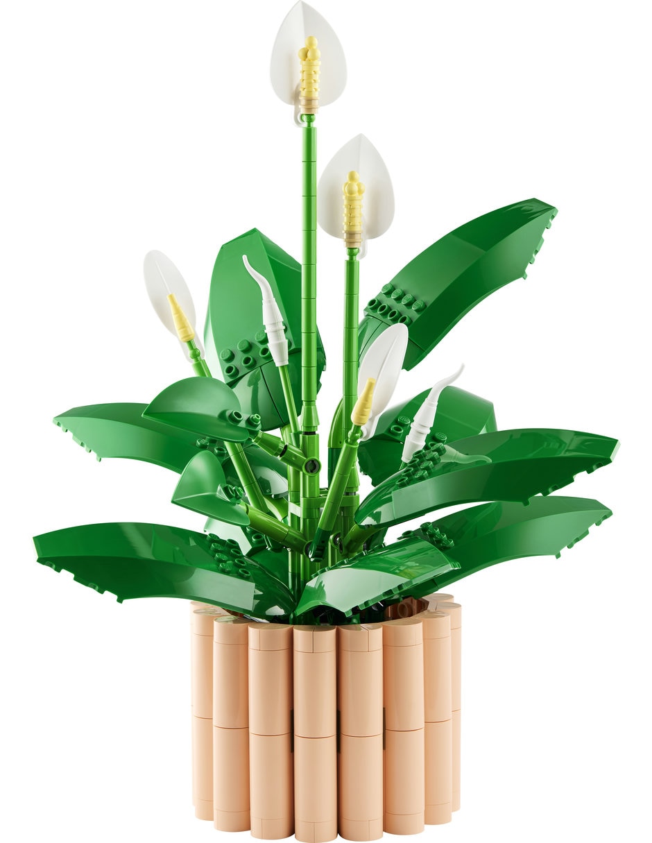 LEGO Set De Lego Botanicals Botanicals 11504 11504 11504 3