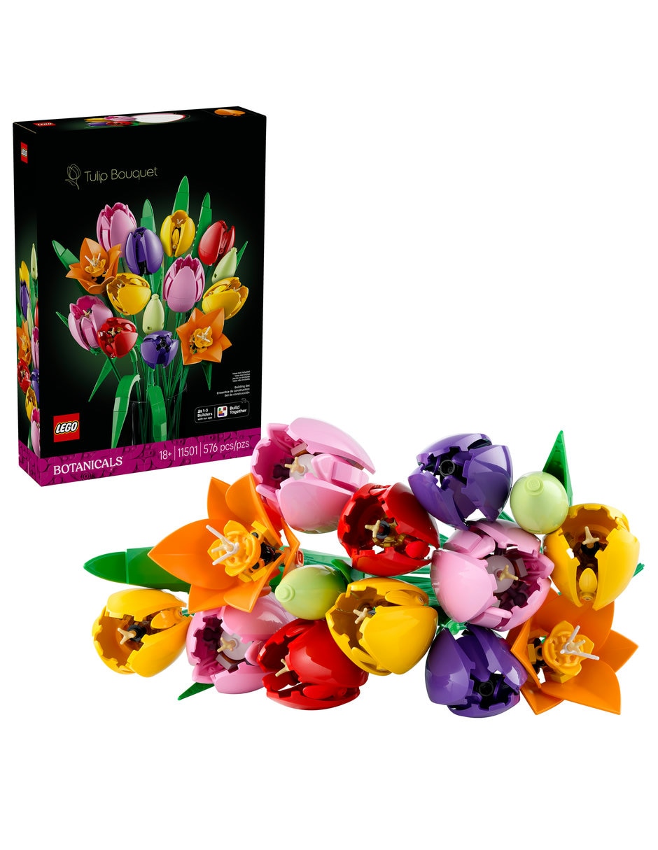 LEGO Set De Lego Botanicals Botanicals 11501 11501 11501