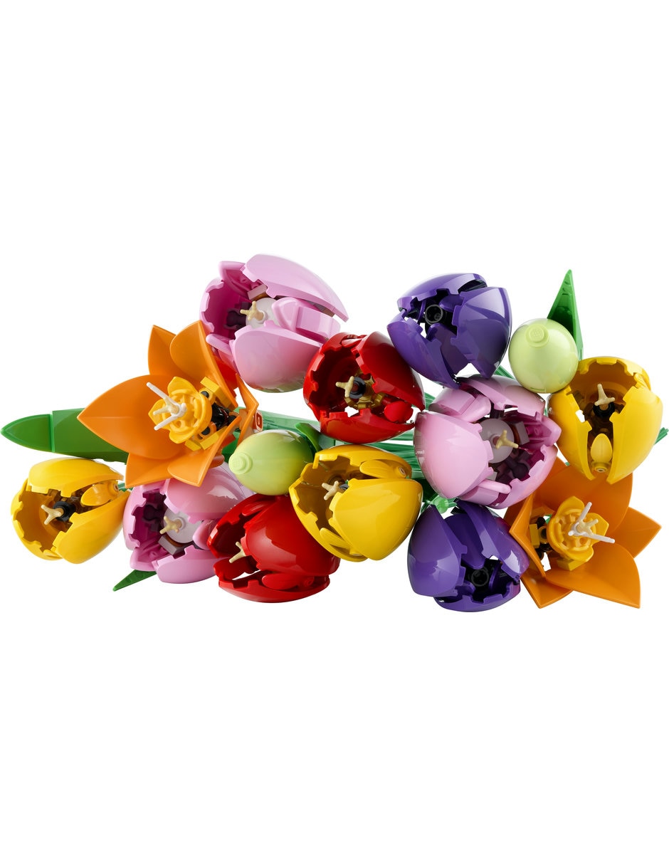 LEGO Set De Lego Botanicals Botanicals 11501 11501 11501 3