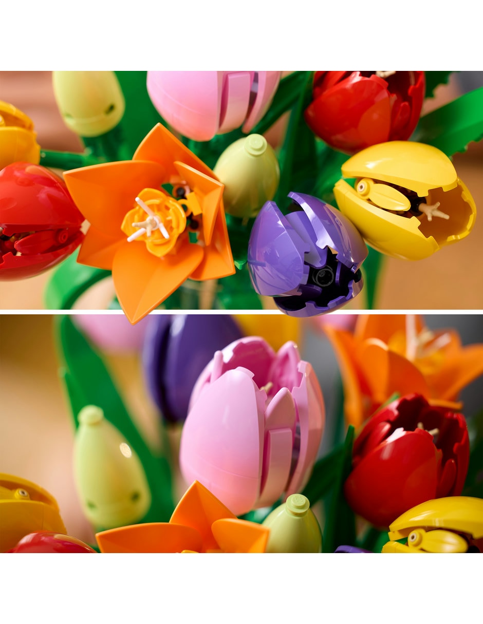 LEGO Set De Lego Botanicals Botanicals 11501 11501 11501 5