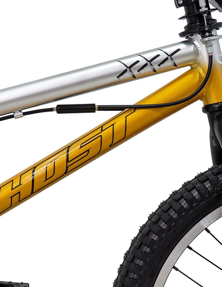 Bicicleta infantil rodada 20 6