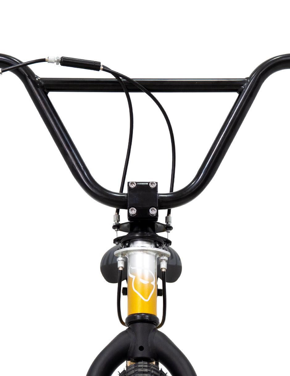 Bicicleta infantil rodada 20 9