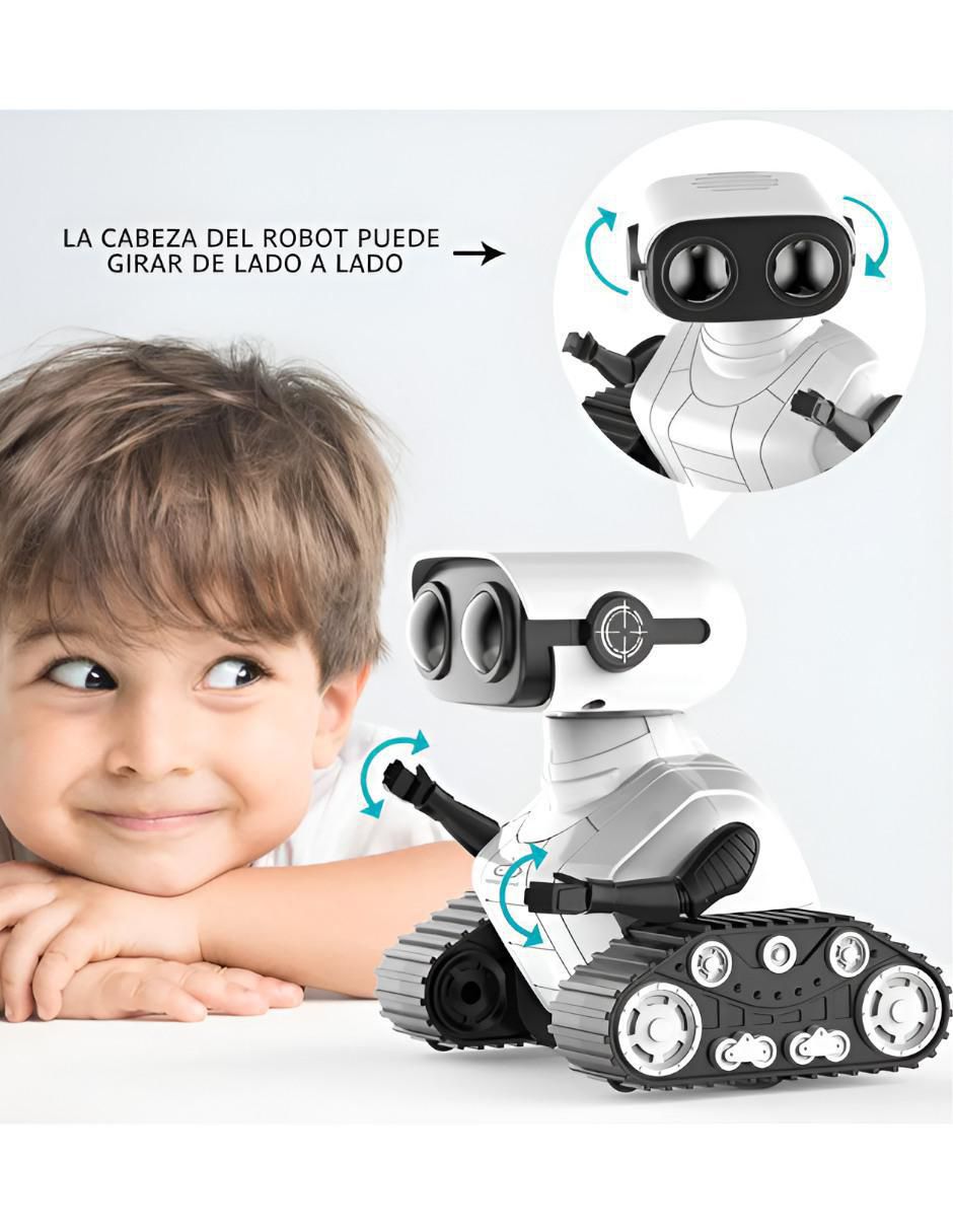 Robot