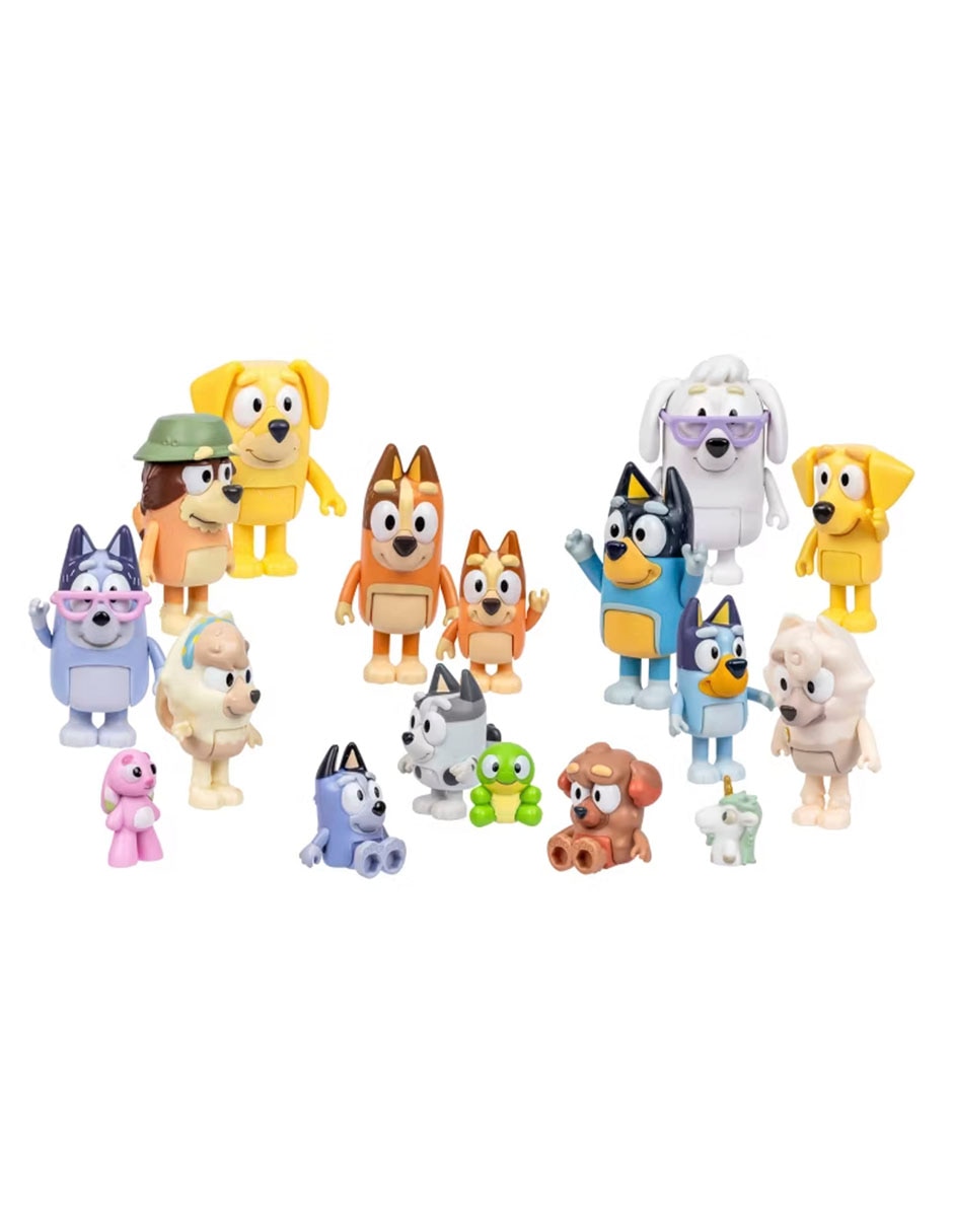 Play set 's Ultimate Friends & Family