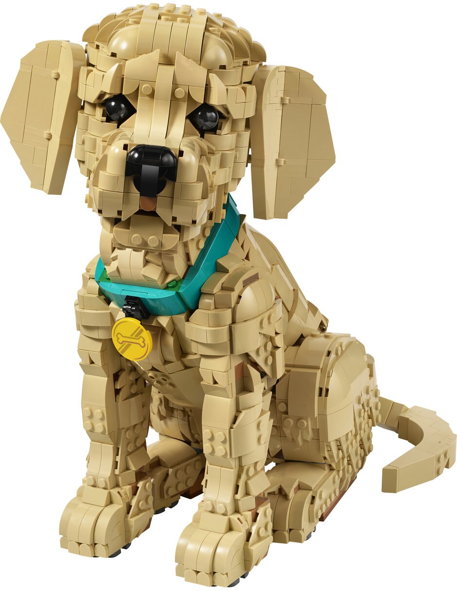 Golden Retriever Puppy 11384 Icons 4