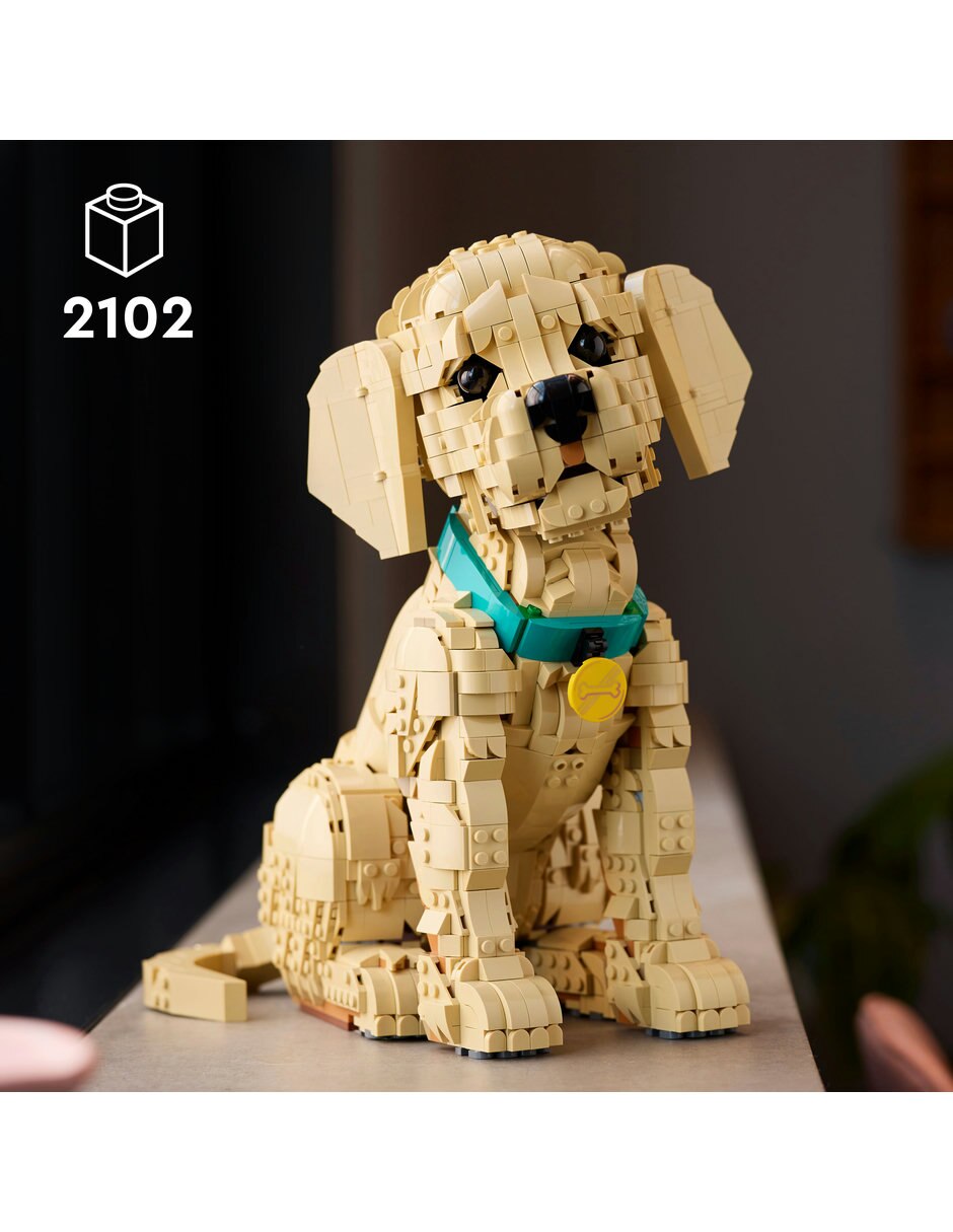 Golden Retriever Puppy 11384 Icons 3