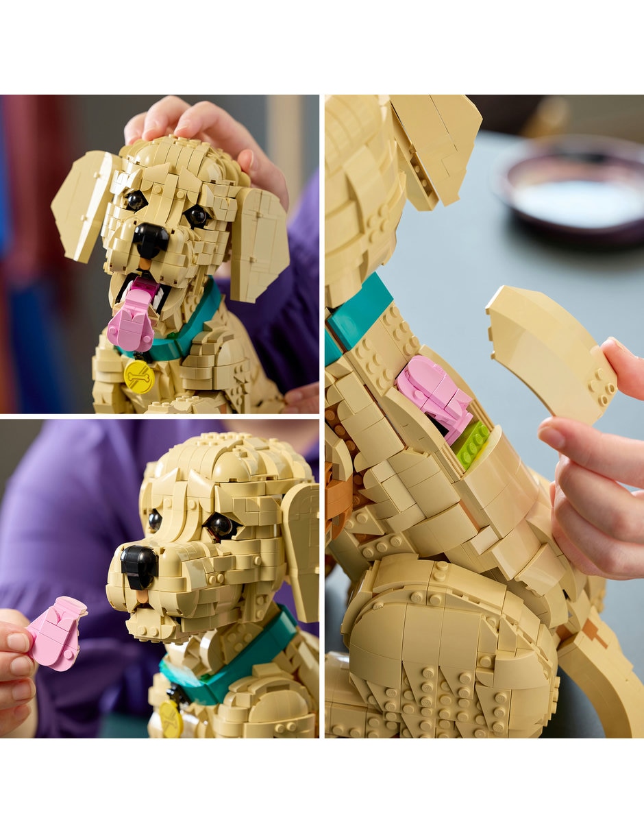 Golden Retriever Puppy 11384 Icons 2