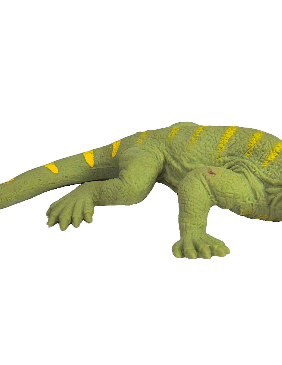 Figura de iguana 3