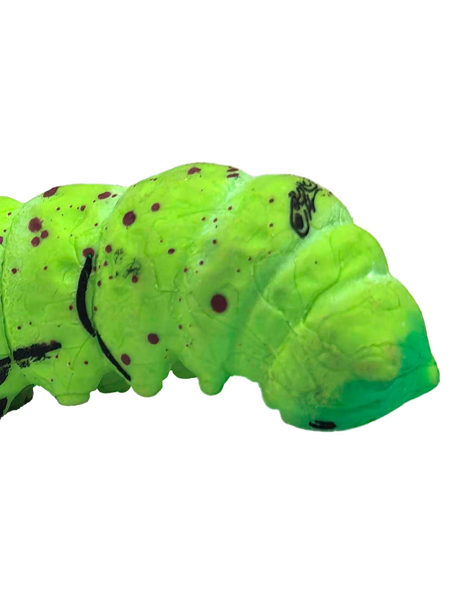 Figura de gusano 2
