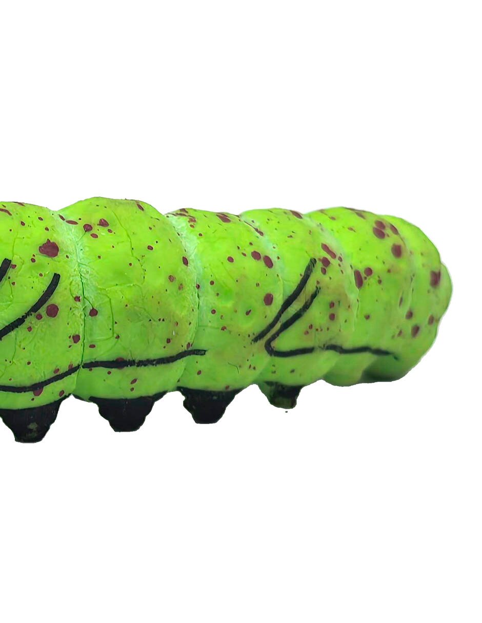 Figura de gusano 3