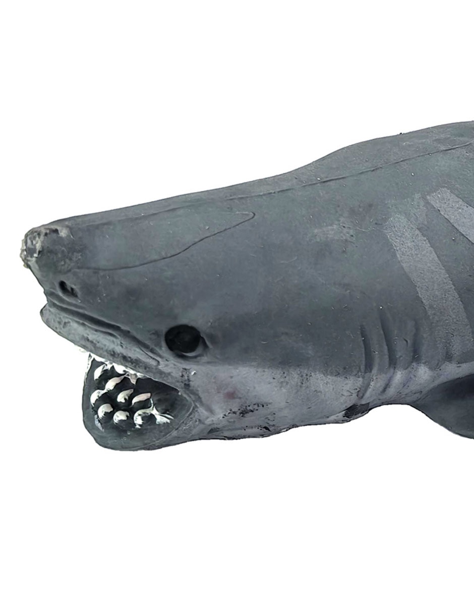 Figura de animales acuáticos tiburón 2