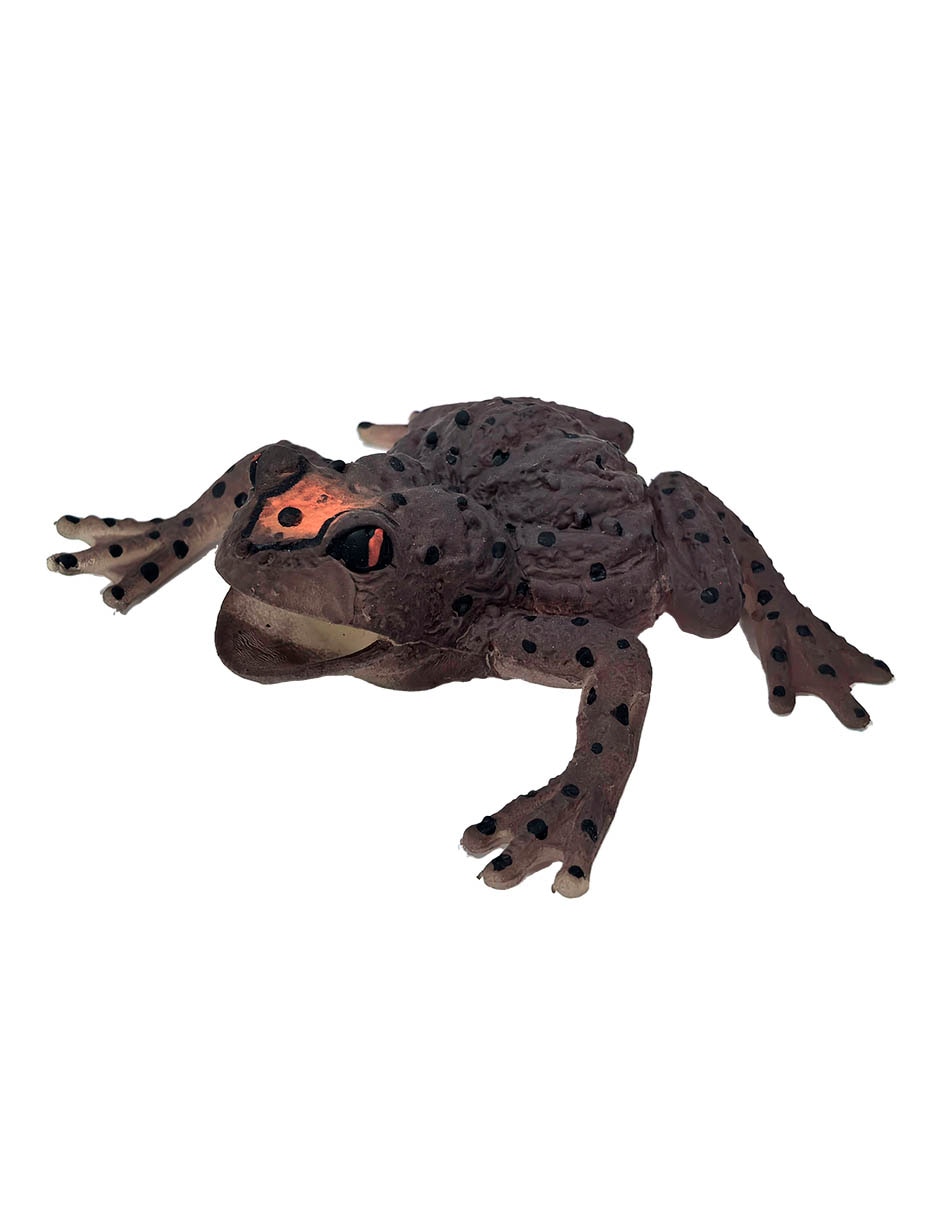 Figura de rana Figura de rana