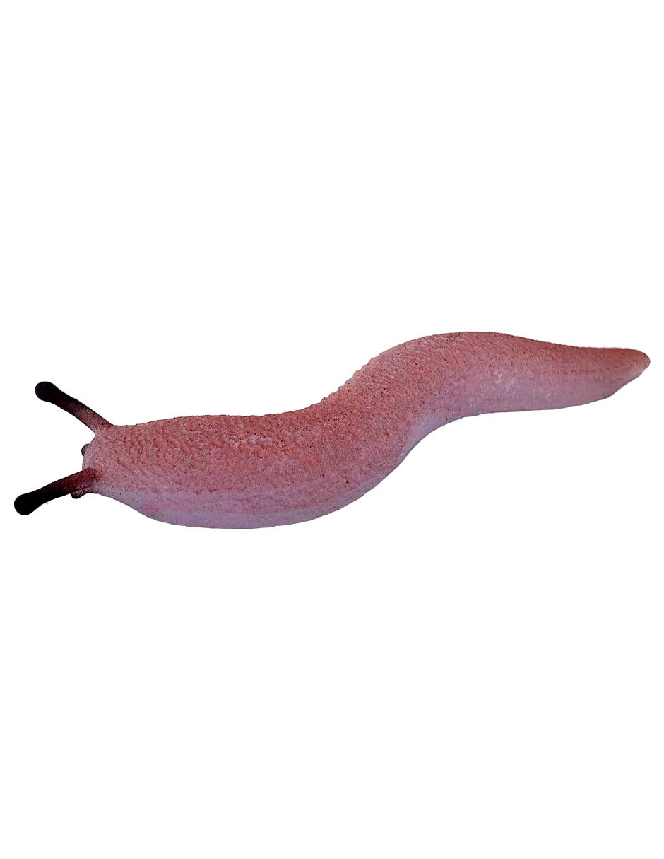 Figura de babosa