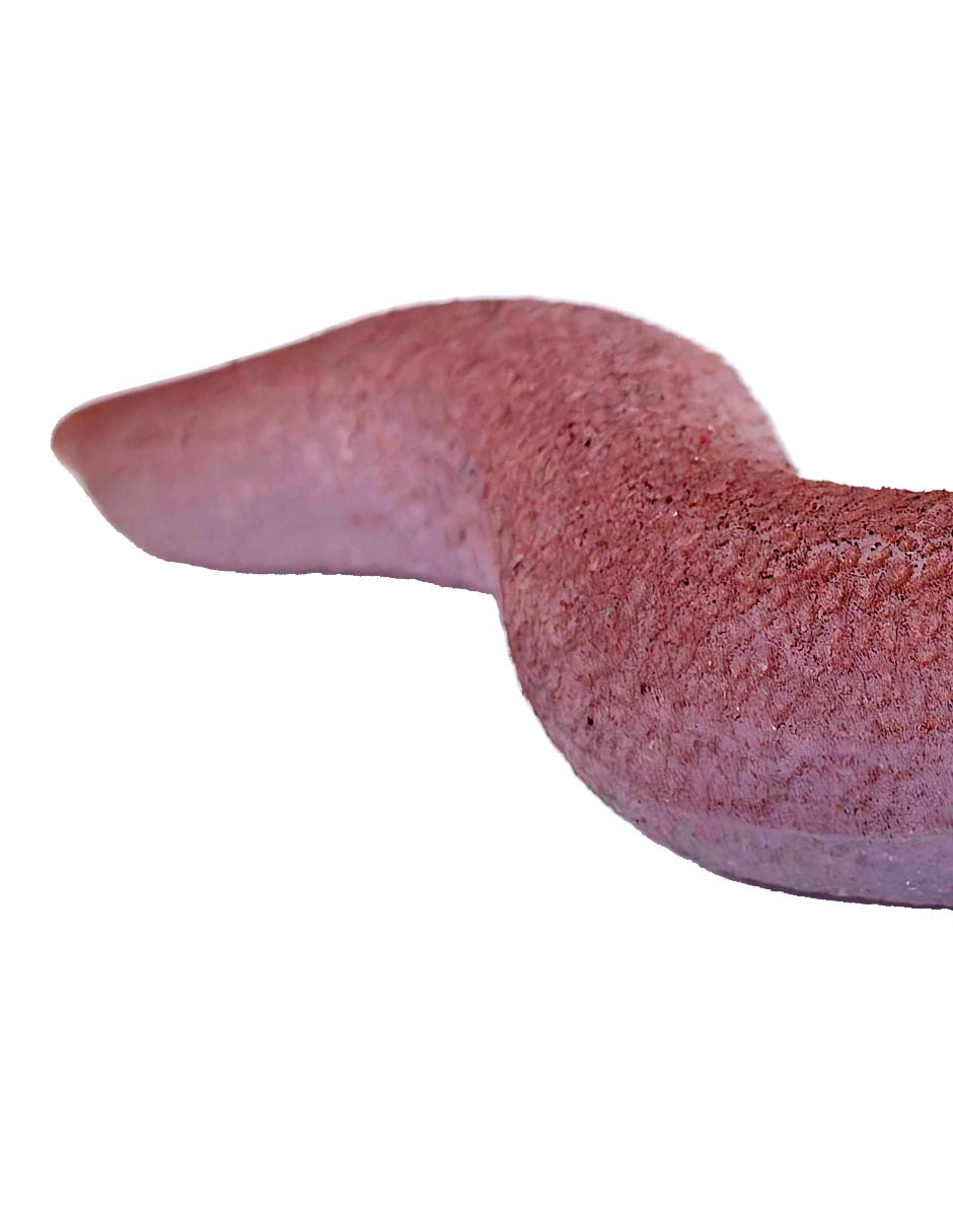 Figura de babosa 3