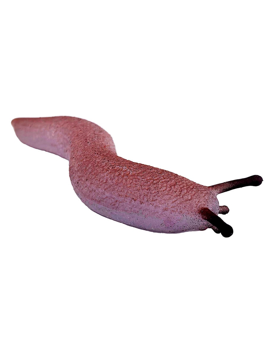 Figura de babosa 4