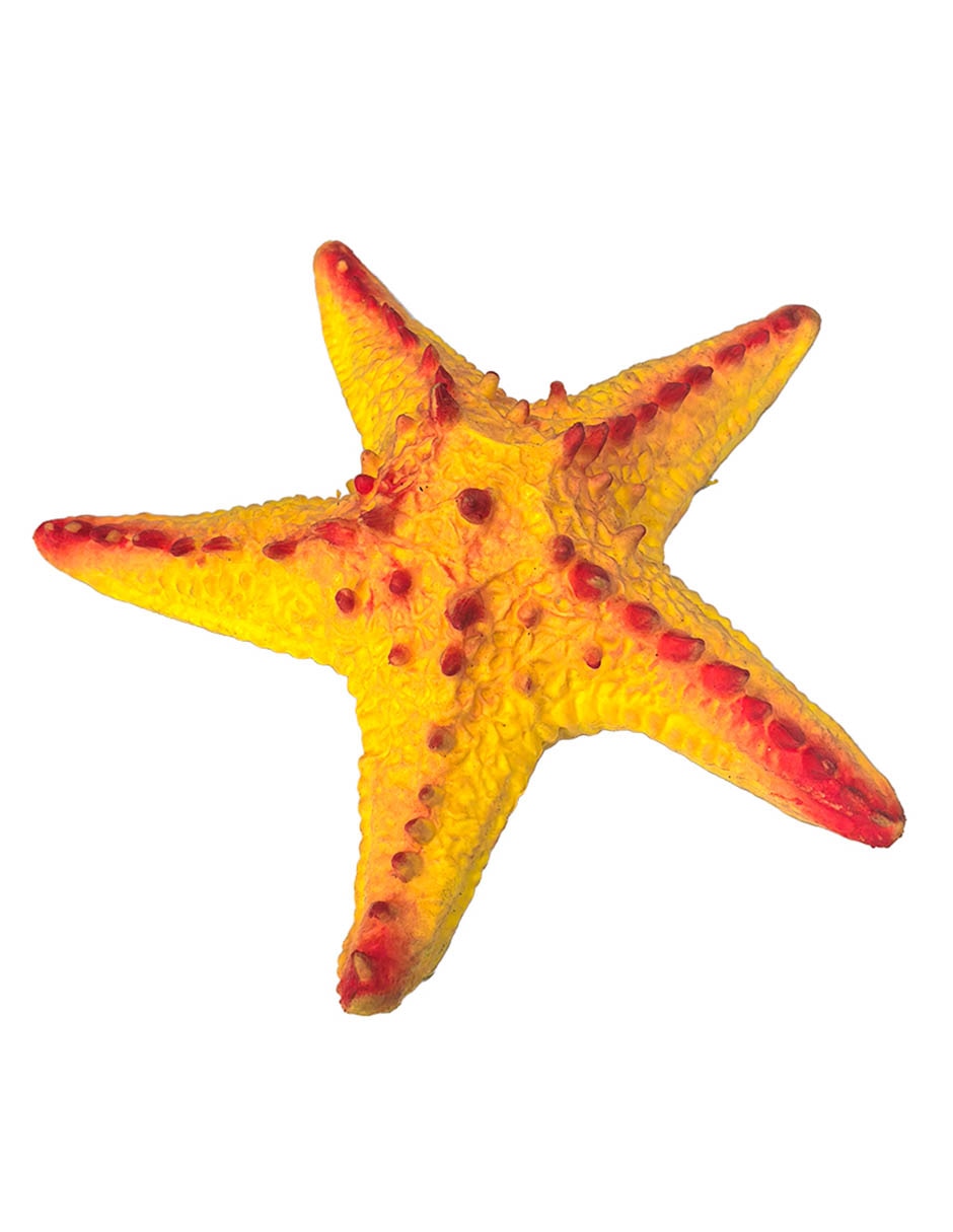 Figura de estrella de mar Figura de estrella de mar