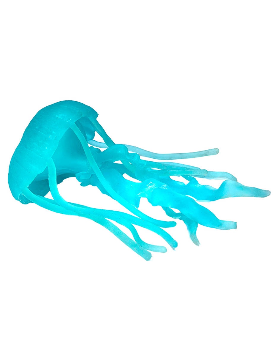 Figura de medusa