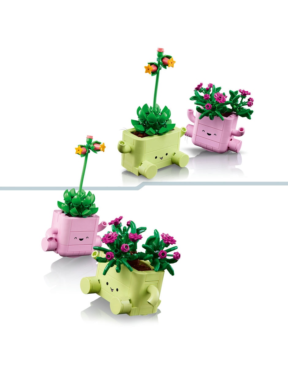 Botanicals Plantas Danzarinas 11506 7