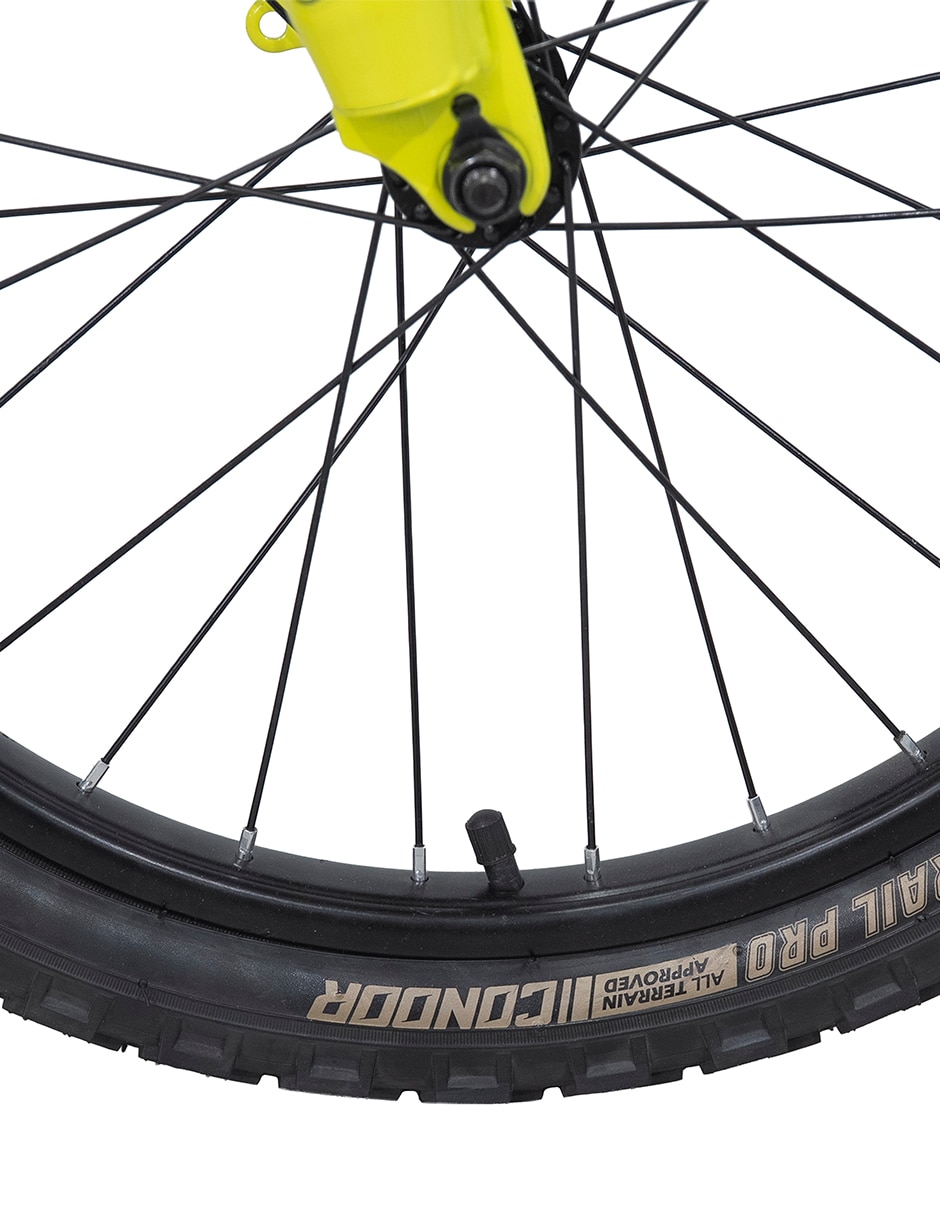 Bicicleta infantil rodada 20 7