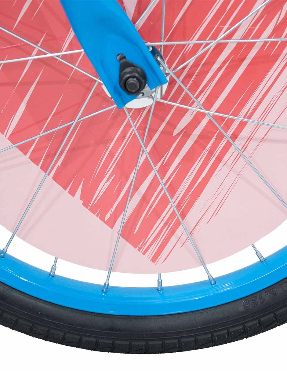 Bicicleta infantil rodada 20 4