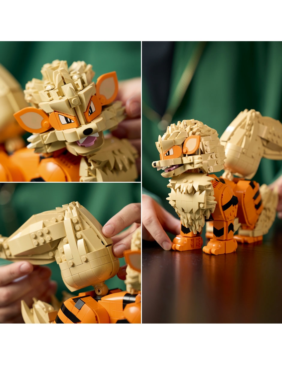 Pokémon Arcanine 72160 6
