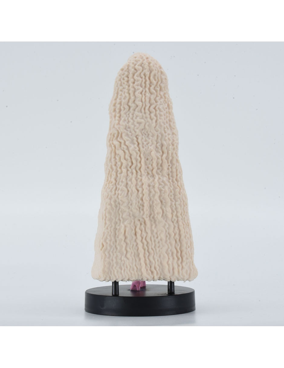 Muñeca colección barbie 5