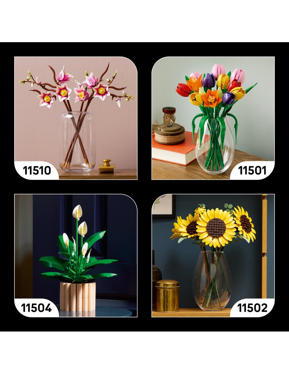 Botanicals Hongos del Bosque 11505 12