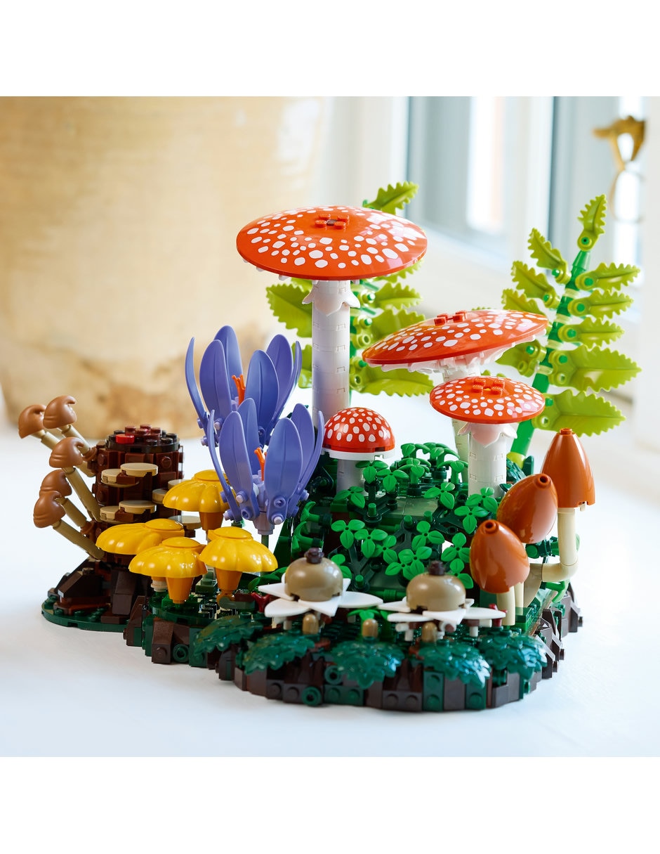 Botanicals Hongos del Bosque 11505