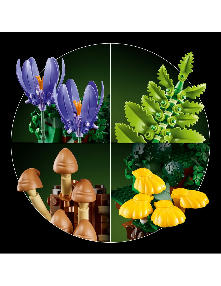 Botanicals Hongos del Bosque 11505 7