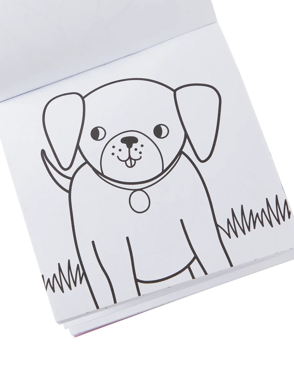 Set libro para colorear crayones mascotas 4