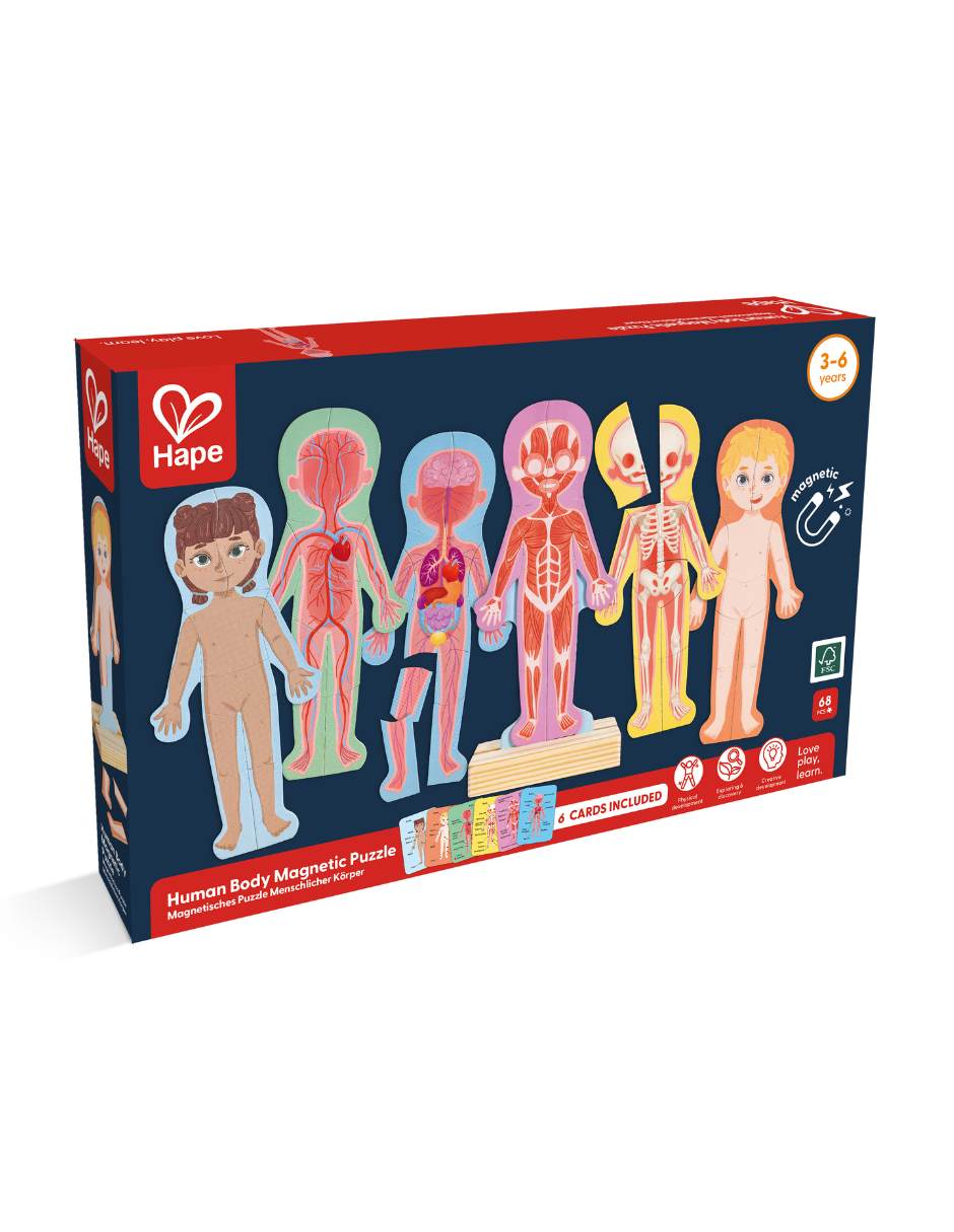 Rompecabezas 3D cuerpo humano magnético 66 piezas 4