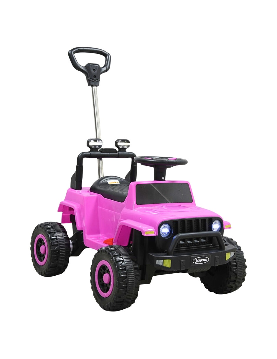 Rosa 2